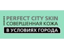 Perfect City Skin
